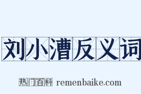 刘小漕反义词是什么意思的图片
